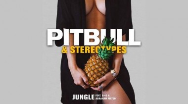 Pitbull & Stereotypes